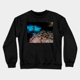 Diver in Cavern With School of Fish Crewneck Sweatshirt